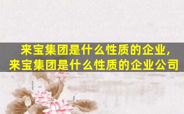 来宝集团是什么性质的企业,来宝集团是什么性质的企业公司