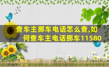 查车主挪车电话怎么查,如何查车主电话挪车11580