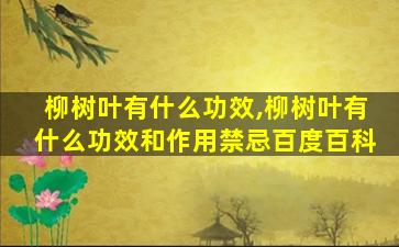 柳树叶有什么功效,柳树叶有什么功效和作用禁忌百度百科