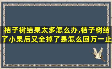 桔子树结果太多怎么办,桔子树结了小果后又全掉了是怎么回万一止
