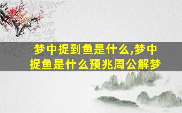 梦中捉到鱼是什么,梦中捉鱼是什么预兆周公解梦