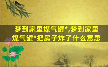 梦到家里煤气罐*
,梦到家里煤气罐*
把房子炸了什么意思