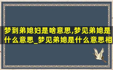 梦到弟媳妇是啥意思,梦见弟媳是什么意思_梦见弟媳是什么意思相关