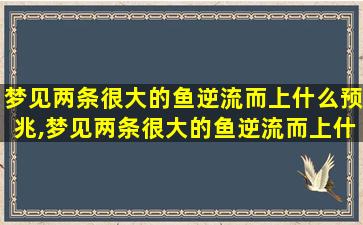 梦见两条很大的鱼逆流而上什么预兆,梦见两条很大的鱼逆流而上什么预兆解梦