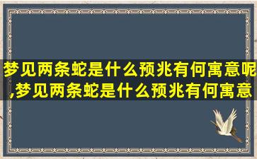 梦见两条蛇是什么预兆有何寓意呢,梦见两条蛇是什么预兆有何寓意呢周公解梦