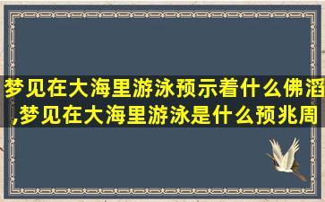 梦见在大海里游泳预示着什么佛滔,梦见在大海里游泳是什么预兆周公解梦