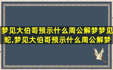 梦见大伯哥预示什么周公解梦梦见蛇,梦见大伯哥预示什么周公解梦梦见蛇咬自己