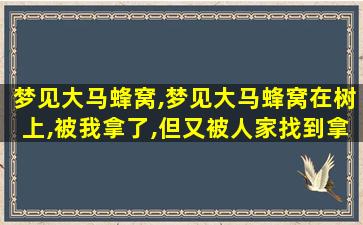 梦见大马蜂窝,梦见大马蜂窝在树上,被我拿了,但又被人家找到拿走