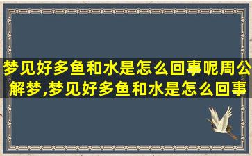 梦见好多鱼和水是怎么回事呢周公解梦,梦见好多鱼和水是怎么回事呢女生