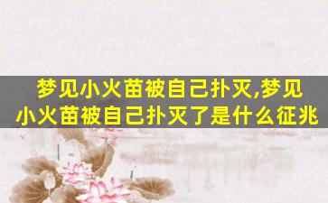 梦见小火苗被自己扑灭,梦见小火苗被自己扑灭了是什么征兆