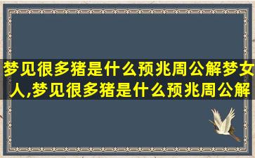 梦见很多猪是什么预兆周公解梦女人,梦见很多猪是什么预兆周公解梦女人结婚