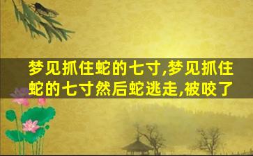 梦见抓住蛇的七寸,梦见抓住蛇的七寸然后蛇逃走,被咬了