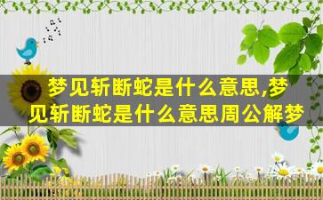 梦见斩断蛇是什么意思,梦见斩断蛇是什么意思周公解梦
