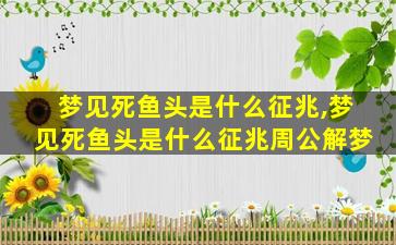 梦见死鱼头是什么征兆,梦见死鱼头是什么征兆周公解梦