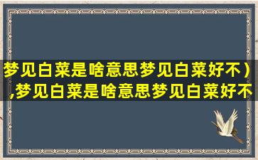 梦见白菜是啥意思梦见白菜好不）,梦见白菜是啥意思梦见白菜好不)