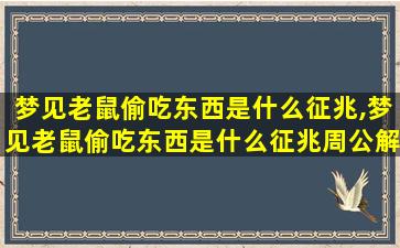 梦见老鼠偷吃东西是什么征兆,梦见老鼠偷吃东西是什么征兆周公解梦