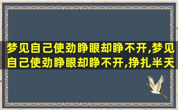 梦见自己使劲睁眼却睁不开,梦见自己使劲睁眼却睁不开,挣扎半天才能睁开什么意思