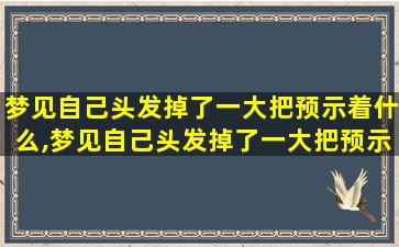 梦见自己头发掉了一大把预示着什么,梦见自己头发掉了一大把预示着什么周公解梦