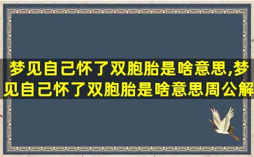 梦见自己怀了双胞胎是啥意思,梦见自己怀了双胞胎是啥意思周公解梦