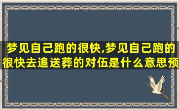 梦见自己跑的很快,梦见自己跑的很快去追送葬的对伍是什么意思预兆