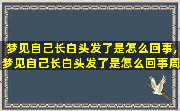 梦见自己长白头发了是怎么回事,梦见自己长白头发了是怎么回事周公解梦