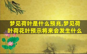 梦见荷叶是什么预兆,梦见荷叶荷花叶预示将来会发生什么