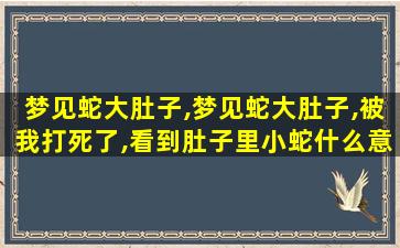 梦见蛇大肚子,梦见蛇大肚子,被我打死了,看到肚子里小蛇什么意思