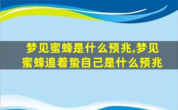 梦见蜜蜂是什么预兆,梦见蜜蜂追着蛰自己是什么预兆