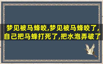 梦见被马蜂咬,梦见被马蜂咬了,自己把马蜂打死了,把水泡弄破了