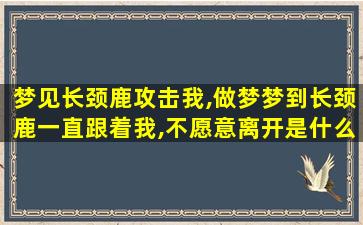 梦见长颈鹿攻击我,做梦梦到长颈鹿一直跟着我,不愿意离开是什么意思