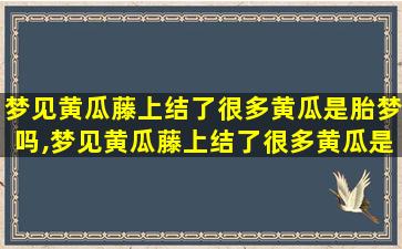 梦见黄瓜藤上结了很多黄瓜是胎梦吗,梦见黄瓜藤上结了很多黄瓜是胎梦吗周公解梦