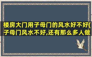 楼房大门用子母门的风水好不好(子母门风水不好,还有那么多人做)