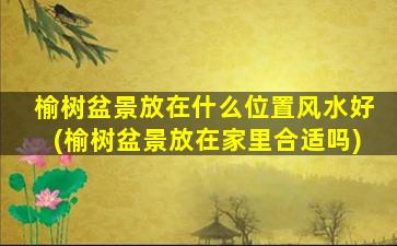 榆树盆景放在什么位置风水好(榆树盆景放在家里合适吗)