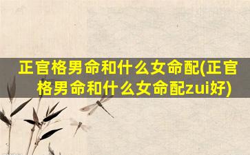 正官格男命和什么女命配(正官格男命和什么女命配zui
好)
