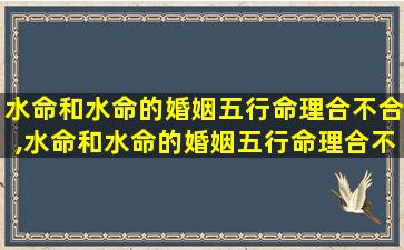 水命和水命的婚姻五行命理合不合,水命和水命的婚姻五行命理合不合呢