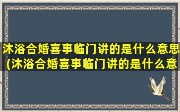 沐浴合婚喜事临门讲的是什么意思(沐浴合婚喜事临门讲的是什么意思属羊)