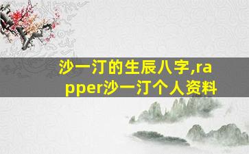 沙一汀的生辰八字,rapper沙一汀个人资料