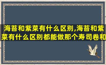 海苔和紫菜有什么区别,海苔和紫菜有什么区别都能做那个寿司卷和包饭团吗