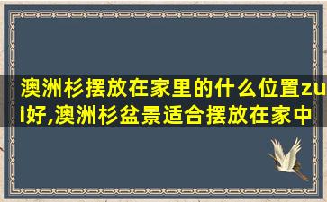 澳洲杉摆放在家里的什么位置zui
好,澳洲杉盆景适合摆放在家中什么位置