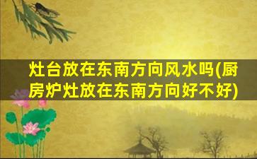 灶台放在东南方向风水吗(厨房炉灶放在东南方向好不好)