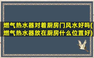 燃气热水器对着厨房门风水好吗(燃气热水器放在厨房什么位置好)