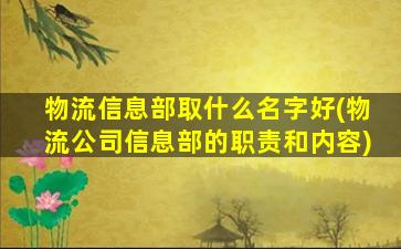 物流信息部取什么名字好(物流公司信息部的职责和内容)