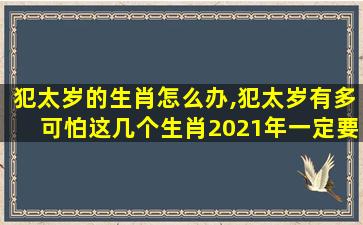 犯太岁的生肖怎么办,犯太岁有多可怕这几个生肖2021年一定要注意!