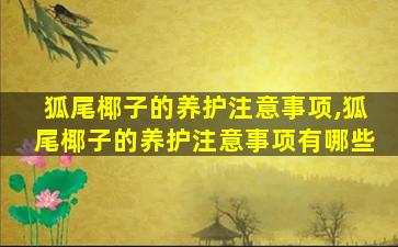 狐尾椰子的养护注意事项,狐尾椰子的养护注意事项有哪些
