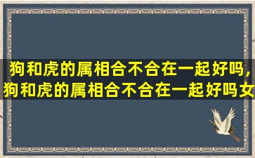 狗和虎的属相合不合在一起好吗,狗和虎的属相合不合在一起好吗女孩