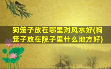 狗笼子放在哪里对风水好(狗笼子放在院子里什么地方好)