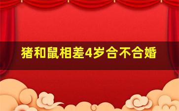 猪和鼠相差4岁合不合婚