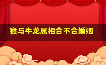 猴与牛龙属相合不合婚姻