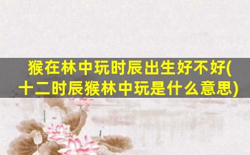 猴在林中玩时辰出生好不好(十二时辰猴林中玩是什么意思)