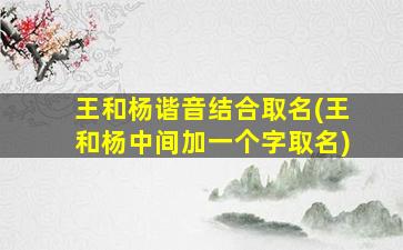 王和杨谐音结合取名(王和杨中间加一个字取名)